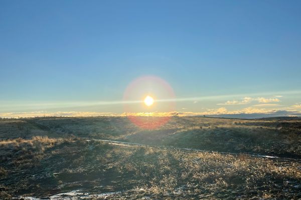 Pre-Trail Jitters & Depression