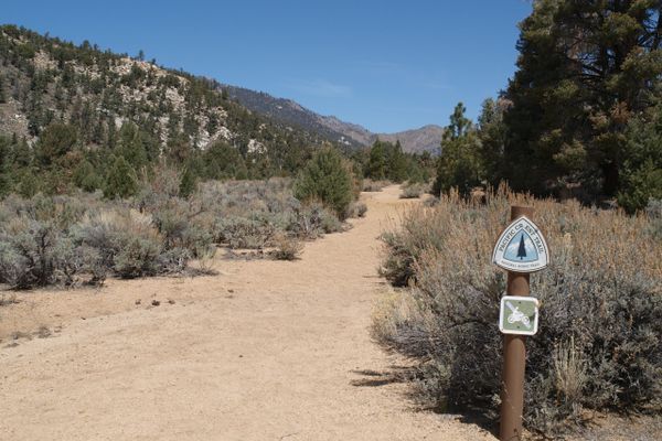 Kennedy Meadows Among 4,000 Campsites That Might Close This Summer as Budget Cuts, Layoffs Threaten California National Forests