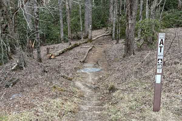 Back on the trail!