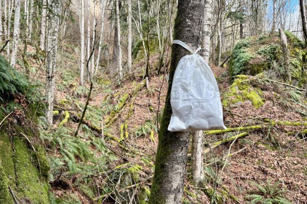 This IGBC-Approved Bear-Resistant Food Bag Weighs Less Than an Ursack
