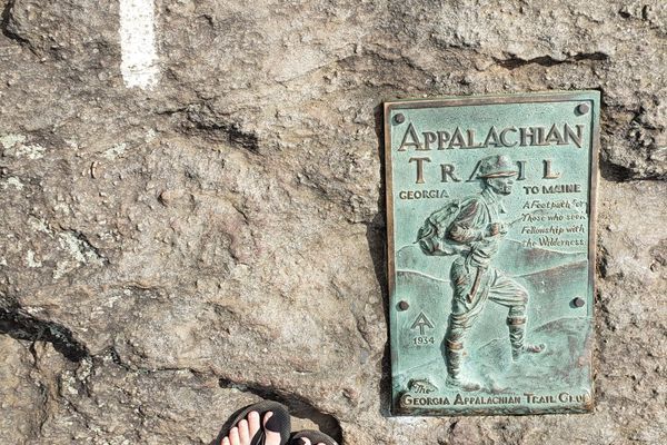 Day 1 – Springer Mountain to Hawk Mountain