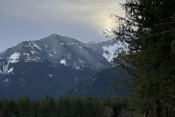 The Calm Before the Storm & Thru-Hike Media Recommendations