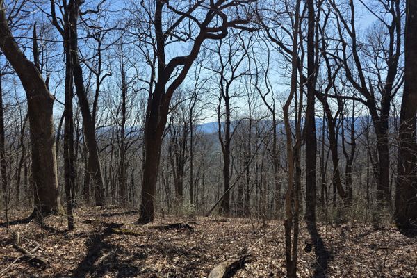 Day One on Trail