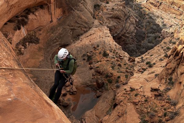 Lessons From the Desert (well… not that desert)
