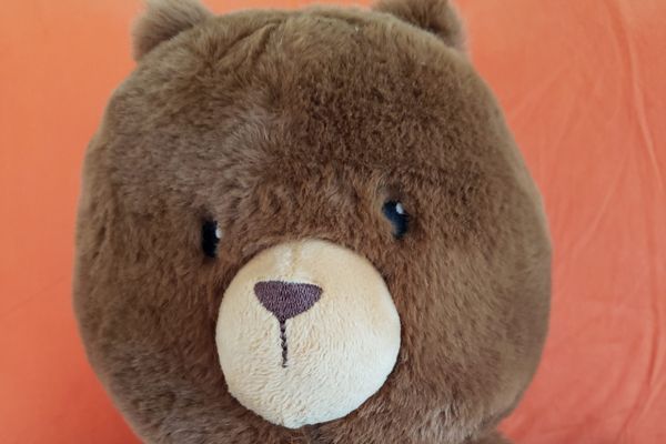 The Bear