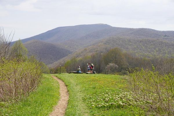 A Nomads Need: My Introduction Before The Camino De Santiago