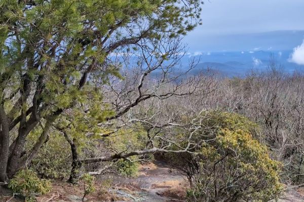Everyone Has a Plan Until Georgia Punches You in the Mouth: My First Week on the Trail