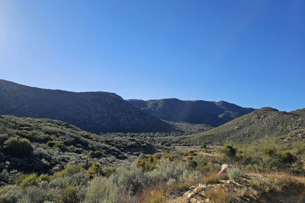 Calling 911 on the Second Day, Swimming in the Desert, and More: PCT Days -1 to 3