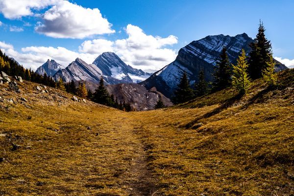 4 Things I Thought I’d Have Sorted Before Hiking the Pacific Crest Trail
