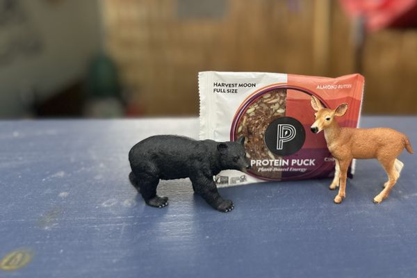 Gummy Bear, Doe Nut and Protein Puck  Walk into a Bar