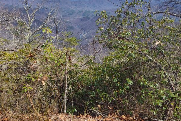 The LONG Climb Uphill on the Appalachian Trail