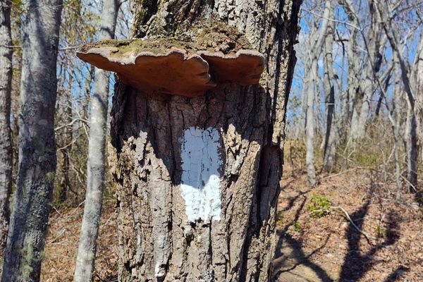 An Empty Soul and Clear Slate on the Appalachian Trail