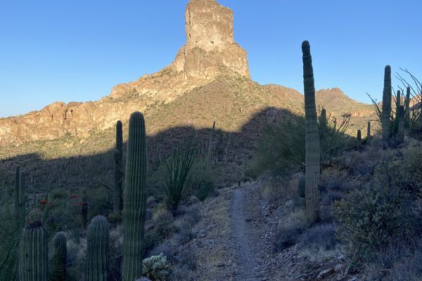 The Desert is…Hot and Dry?