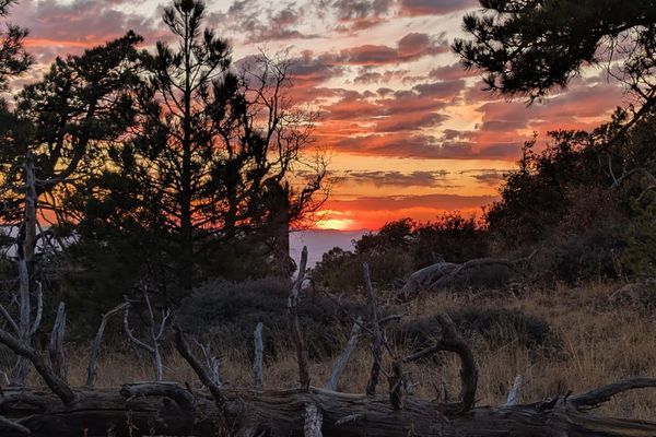 AZT 2025: Days 1 to 4, into Patagonia