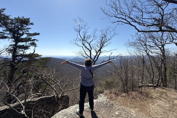 Bull Gap to Hogpen Gap — Storms, Swarms, and Stillness