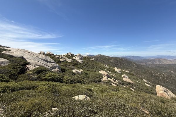 First Week on Trail