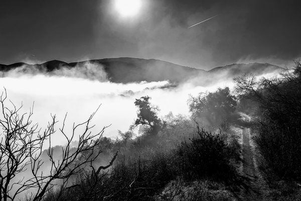 Which Summons the First Sally, and the Errant Thru-Hiker Who Once Tested the Trail