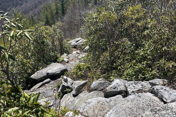 From the end of Smokies to Sam’s gap