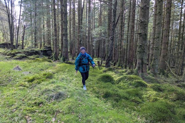 West Highland Way Day 5: Rowardennan to Inversnaid