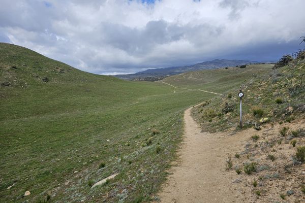 Screaming Into the Wind, Jumpscaring a Deer, and More: PCT Days 10 to 12