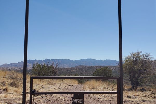 Burgers, Puppies, and Hiking Poles!