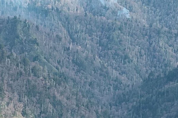 The Emotional Backpack We Carry on the Appalachian Trail