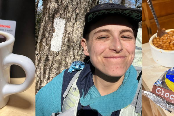 Appalachian Trail Days 1-4: Springer Mountain to Neel Gap