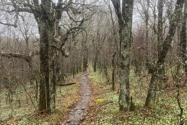 Hiking the Smokies Pt. 1
