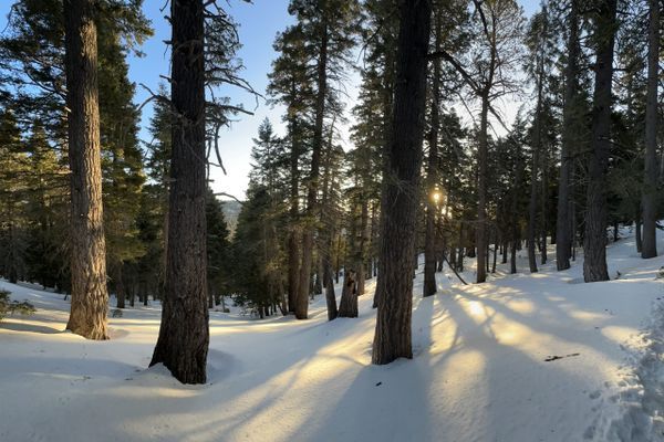 I Hit My Limits on San Jacinto