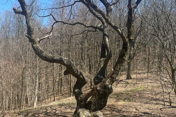 100 Miles on the Appalachian Trail