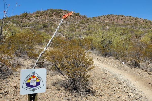 Colossal Cave Heatwave & Ice Cream