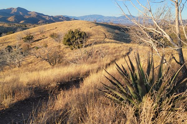 The Arizona Trail: Patagonia to Vail