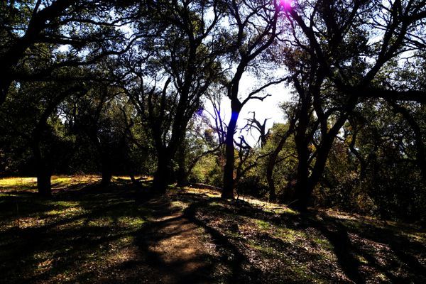 Why am I Hiking the PCT?