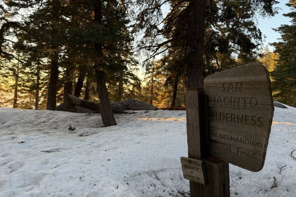 A rollercoaster, Week 3 on the PCT