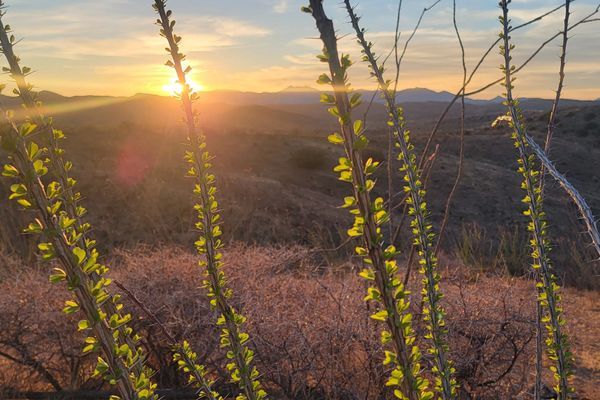 The Arizona Trail: Vail to Manning Camp