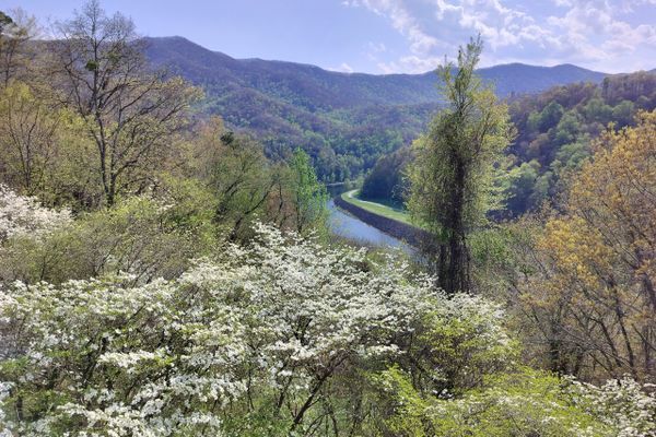 Smokies! (Days 6-18)