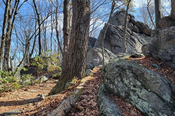 Day 4 & 5 Pine Knob to Raven Rock