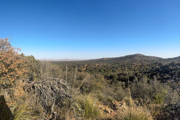Days 6-10: Mountain Lions and Water Dependence