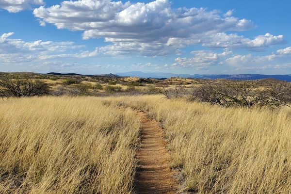 Side Trails & Old Trails