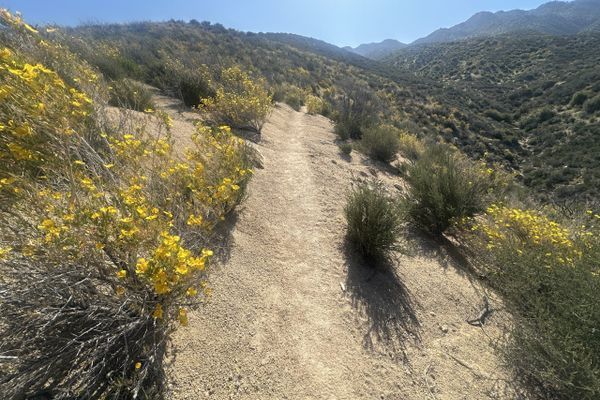Big Bear to Wrightwood