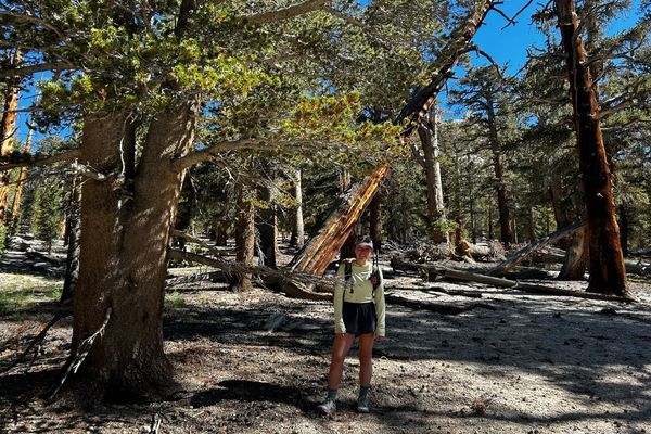 I Completed my PCT Thru Hike at a Sequoia Tree (An Ode)