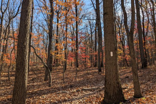 Announcing the 2025 Pennsylvania Appalachian Trail Kickoff