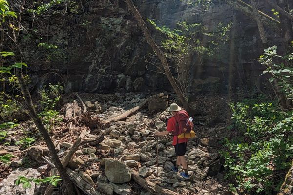 Unorthodox Training Plans
