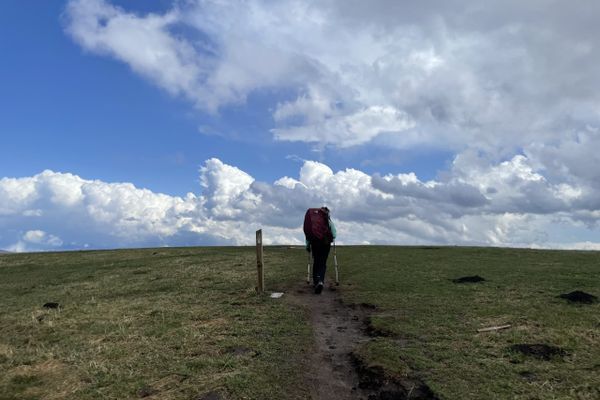 What’s My Trailname?!
