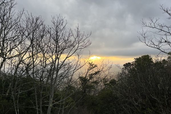 Georgia: The First 78 Miles of my AT Thru-Hike