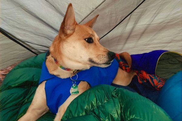 Pinhoti Trail Day 1: Southern Terminus to 13.1 Camp