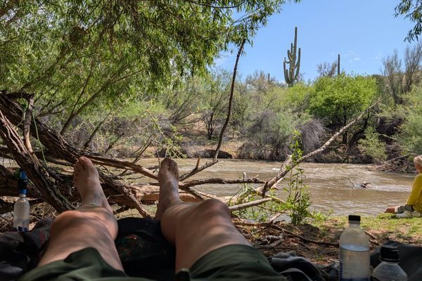 AZT Days 14-21: Hot, Scorching Death