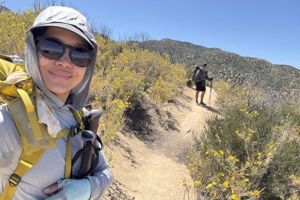 Oreos are a modern marvel, week 4 on the PCT