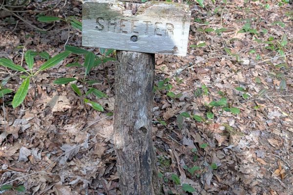 In Which Nobody Leaves Georgia, Meets Many Sayings, and Commits an Accidental Blinding