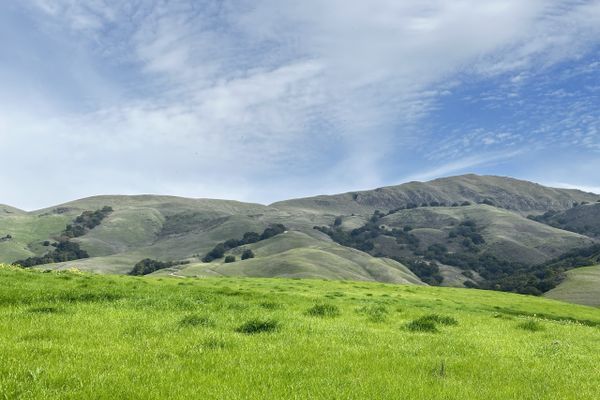 The Art of Procrastination: A Tale of Chaotic PCT Prep